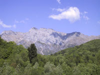 Monte Raut - clicka per ingrandire l'immagine